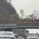 샤론빈티지 | 히게단을 곁들인 봄