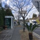 상예입구 이미지