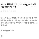 부산항 화물서 코카인 63.88㎏, 시가 1천900억원어치 적발 이미지