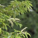 주상농장 이미지