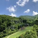 무주읍185 이미지