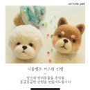몽글몽글 펫 이미지