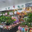 주안꽃화원