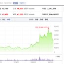 DB인터내셔널