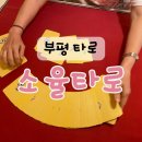 진성정 | 인천부개동사주 : 소율타로 : 후기&amp;정보