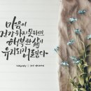마음을 다스리는 글 Daum카페