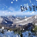 울릉크루즈투어