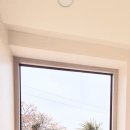 멍쿠실낭 이미지