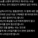 쇼머스트고온 이미지