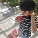 귀소농장 이미지