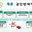 쏘올 공인번역 행정사 이미지