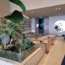 안녕, 강아지 이미지