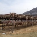 철이목장 네이버블로그