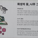 향남읍 행정복지센터 이미지