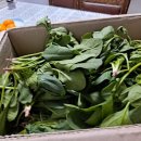 양도경로당 이미지