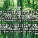 대나무 이미지