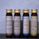 호텔앨리스앤트렁크 이미지