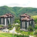 풀베르데 이미지