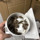 세븐일레븐(거제영진자이온점) | 거제 집수리 공용 욕실 안방 욕실 환풍기 교체 작업 시공 후기 옥포동 영진자이온