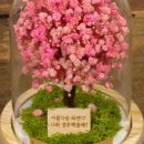 꽃;로랑