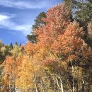 Eastern sierra 가을 여행 09/26-09/27-2026 사진 앨범 1 이미지