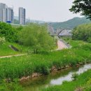 구갈레스피아 이미지