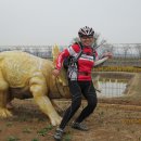 [생태탐방] 소래포구 이미지