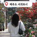 서귀포시장애인단체연합회 | [제주 서귀포시] '카멜리아힐' 2월 동백꽃 개화시기 입장료 할인 가족여행 가볼만한곳 추천