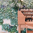 파팡포레 - 강남구 도곡로 225 | 파팡포레