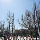 별빛공원 체육시설 이미지