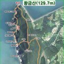 682 Daum카페