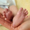 산모도우미119 네이버블로그