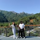 정래할머니 이미지