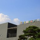 누리라인 이미지