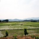 신당2리 이미지