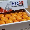 양지청과 이미지