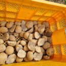 성희네반찬 이미지