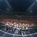 베스트태권스쿨 이미지