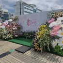 효 콘서트 이미지