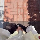 남우메디칼 이미지