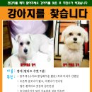 깜지