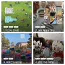 예술꽃 발표회 | 3월 행사 봄날의 예술 팝업 후기, 가라지세일, 아이들...아이들 발표회 , 평화롭고 알찼던 행사,이색...