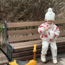 하비 | 킥보드 보조발판 마이크로 킥보드 미니 투고 보조발판 더하비 후기