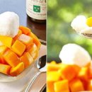 올라호텔 이미지