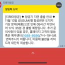 티웨이항공_카카오페이 | 티웨이항공 항공기 9시간 지연 _카카오페이 여행자보험 보상후기(마티나라운지, 스타벅스 보상)