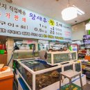 아구회센타 | 만원대 모듬회 실화? 치킨보다 싸다! 가성비 끝판왕 진해 동부회센타