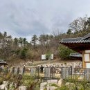 아라실 이미지