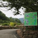 구재봉자두중서 이미지