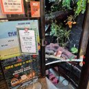 (주)에이앤디영 | [홍대] 이색 실내 데이트 코스, 동물 체험 가능한 ‘테이블에이 동물원’ 후기