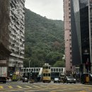 BEAN S KING | 엄마와 떠나는 겨울 홍콩 여행 (25.12.20~25.12.23) - 4일차 (익청빌딩, % 아라비카, 프레스코 딤섬...